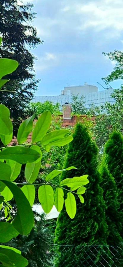 Johnis Fewo, Naehe Stadtzentrum - Uni In Sehr Ruhiger Lage Mit Terrasse Und Eigenem Parkplatz Cottbus Exterior foto